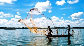 Ca Mau Cape national park to become world Ramsar
